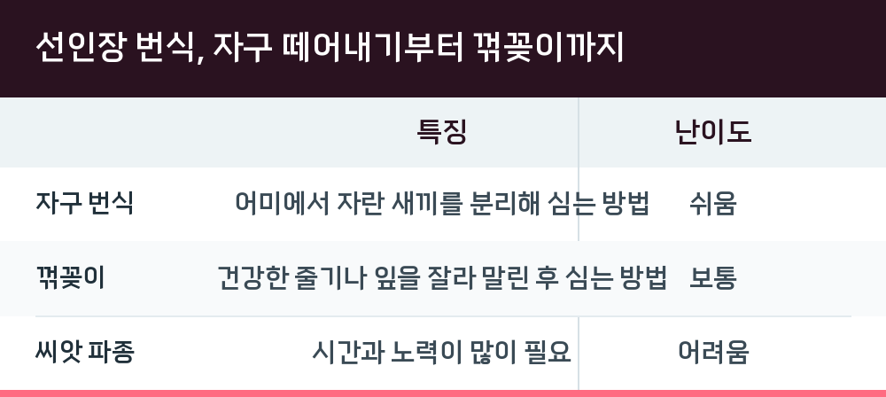 선인장 번식, 자구 떼어내기부터 꺾꽂이까지