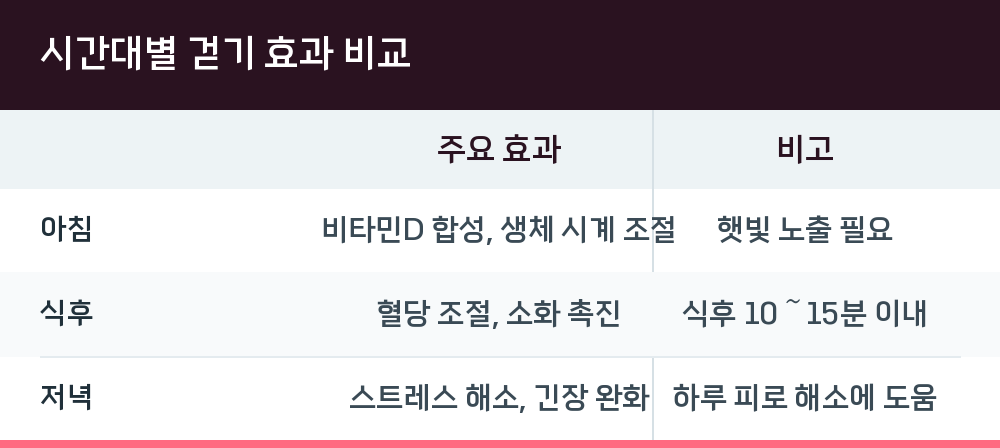 시간대별 걷기 효과 비교