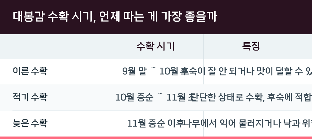대봉감 수확 시기, 언제 따는 게 가장 좋을까