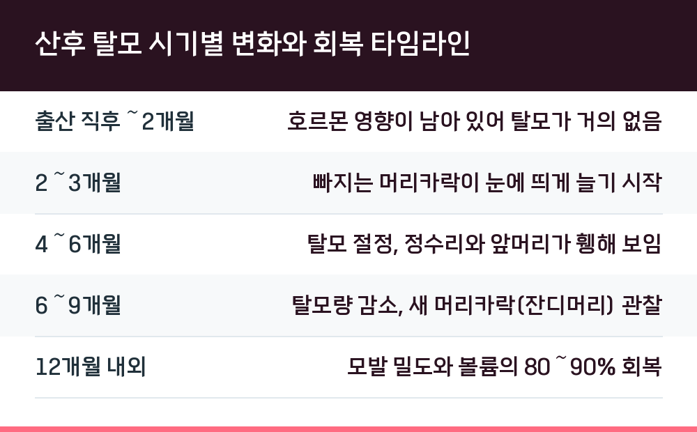 산후 탈모 시기별 변화와 회복 타임라인