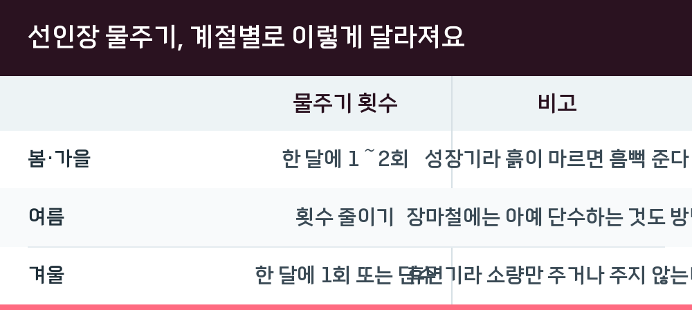 선인장 물주기, 계절별로 이렇게 달라져요